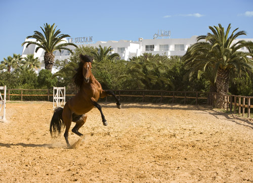 Le Sultan Hammamet 4*, Séjour Tunisie par Ôvoyages Le Sultan Hammamet 4*, Séjour Tunisie par Ôvoyages