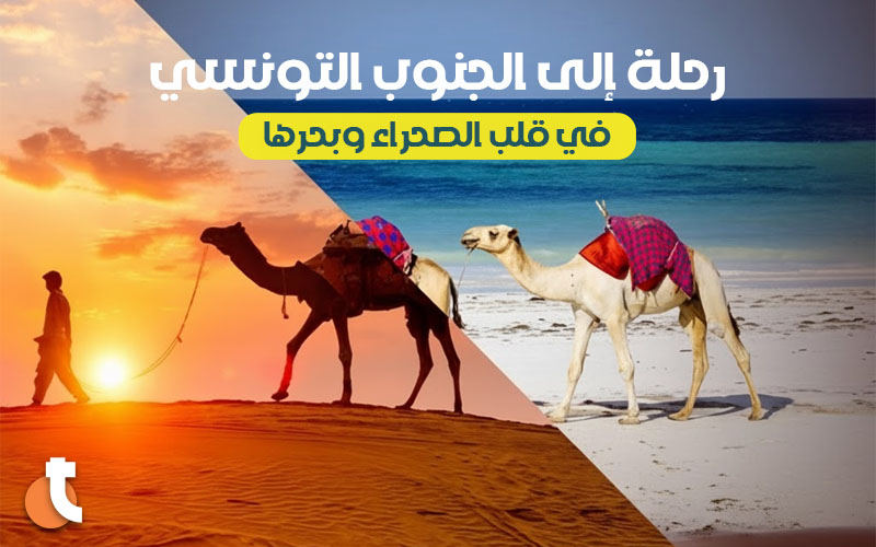 Circuit Sud Mer & Désert Spécial Festival De Douz 2025