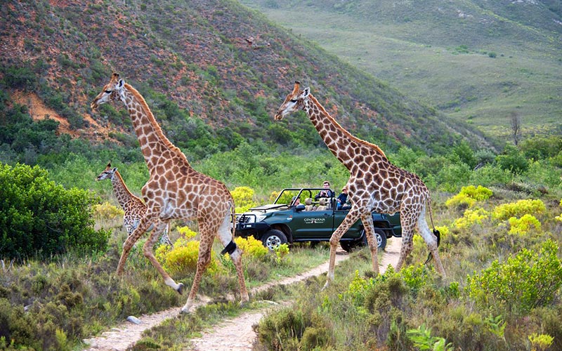 Johannesburg, métropole vibrante d’Afrique du Sud